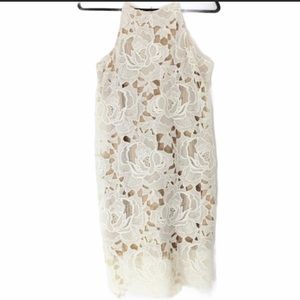 REBELLION Cream Off White Lace Beige Dress M NWOT